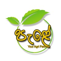 Ceylon Agri Partner (Pvt) Ltd logo - Similar company to Smithk Agro Industrial Institute