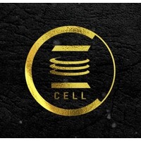 E Cell SATI logo - Similar company to E-Cell Ignite