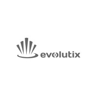 Evolutix USA logo - Similar company to Youcomm