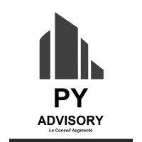 PY ADVISORY logo - Similar company to Py Consulting