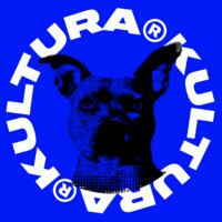 Kultura TV logo - Similar company to Ludilingua