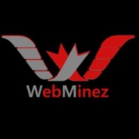 Webminez Technologies logo - Similar company to Frolic Healthtech. Pvt. Ltd.