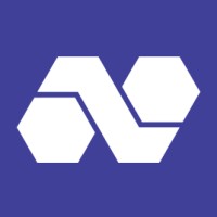 Netis - Web3 Consulting & Development logo - Similar company to Procivis • Securing Digital Trust