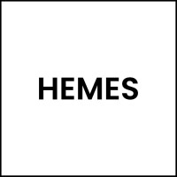 HEMES logo - Similar company to Stebkam