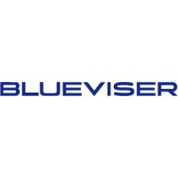 Expertus Blueviser logo - Similar company to Topeagle