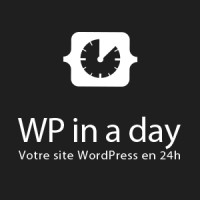 WP in a day logo - Similar company to Wpinaday Wordpress & Woocommerce Specialisten