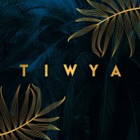TIWYA Rotterdam logo - Similar company to The Party Group