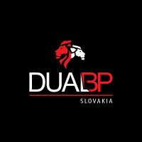 DUAL BP logo - Similar company to Krause Holding A.S.
