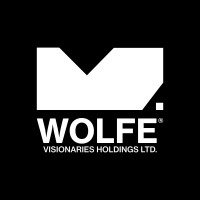 Wolfe Visionaries Holdings Ltd. logo - Similar company to Stanesby Architecture Ltd