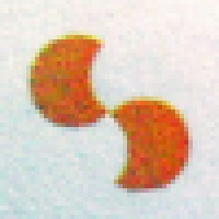 Secor Group, LLC logo - Similar company to Searchcast