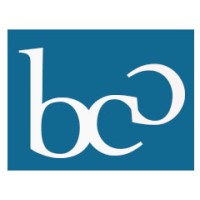 BC Consulting logo - Similar company to Visual Entities Inc.