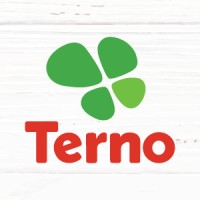 Terno