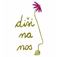 Diši na nos logo - Similar company to Digital Kartel