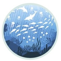 DTO BioFlow logo - Similar company to Eu4Oceanobs