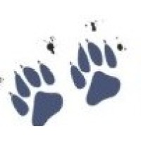Adiestramiento Canino Integral logo - Similar company to Workingdog Solutions, S.L