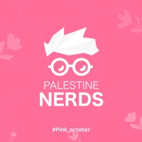 Palestine Nerds logo - Similar company to Visit Hebron Palestine