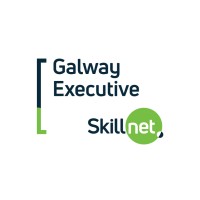 Galway Executive Skillnet logo - Similar company to Concise Training
