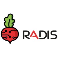 Radis logo - Similar company to Mind Games Software