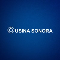 Usina Sonora S/A logo - Similar company to Konnextec
