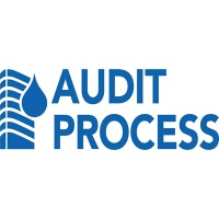 AUDIT PROCESS logo - Similar company to Ingemetrie
