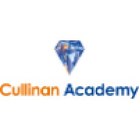 Cullinan Academy BV logo - Similar company to It Recruitment 2.0