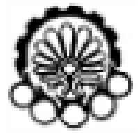 Amirkabir University