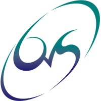 BVS Telecom logo - Similar company to Cernotechptyltd