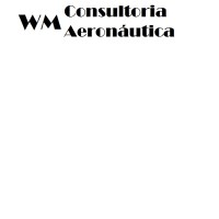 WM Consulting in Aeronautical Engineering logo - Similar company to Vayu Aero