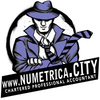 Numetrica - Cloud Accountants logo - Similar company to Priti Lad Professional Corporation
