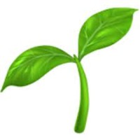 Y logo - Similar company to Tiny Thunder Studio