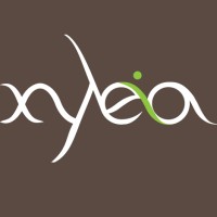 Xyleia Natural Interiors logo - Similar company to Xyleia Ltd