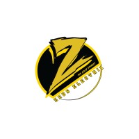 Zeus ElectriX logo - Similar company to Multi Media Magazines