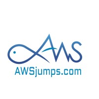 Alpha Web Solutions LLC logo - Similar company to Alpha Web Solutions