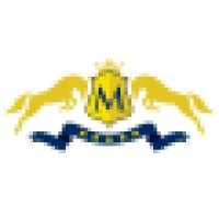 Merit Academy logo - Similar company to Nokav Studio