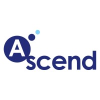 Ascend Tendering Limited logo - Similar company to Insignia Technology Systems