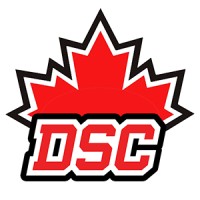 Drone Sports Canada logo - Similar company to Spitfire Drone Survey