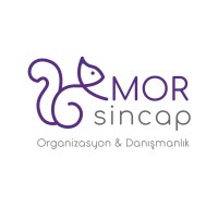 Mor Sincap Organizasyon & Danışmanlık logo - Similar company to So Line