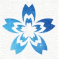 New Sky Foreign Language logo - Similar company to Ivision Solution