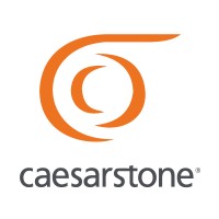 Caesarstone México logo - Similar company to F.D.S. Superficies Solidas