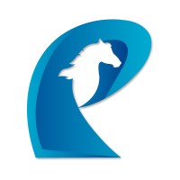 Pegorion Software Solutions Pvt.Ltd logo - Similar company to Dealdex