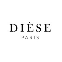 DIÈSE PARIS logo - Similar company to Black Goose