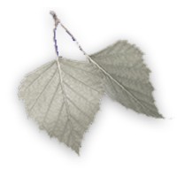 Delamere Industries, Inc logo - Similar company to Wellup Technologies