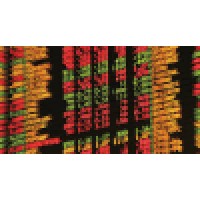 Markets Talent - Leading Investment Banking Career Coaching And Sales & Trading Mentoring