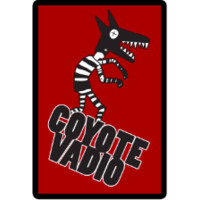 Coyote Vadio logo - Similar company to Caixinha De Som