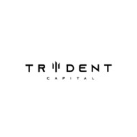 Trident Capital (Private) Ltd logo - Similar company to Trident Capital Group