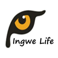Ingwe Life logo - Similar company to Infinitum Financial Solutions