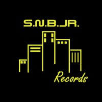 S.N.B.JR. Records, LLC logo - Similar company to Persistent Management