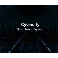 Cyversity logo - Similar company to Data Next Step