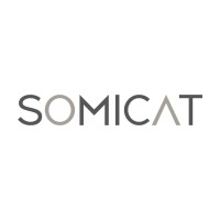 SOMICAT logo - Similar company to Revel