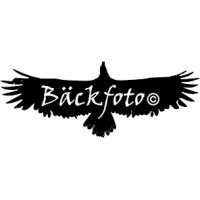 Bäckfoto Ab